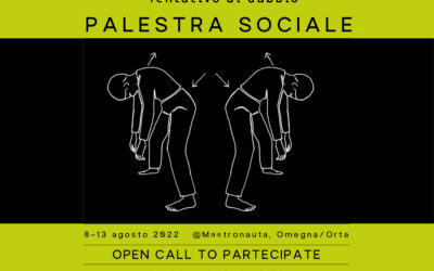 TENTATIVO DI DUBBIO_ UNA PALESTRA SOCIALE @Mastronauta, Omegna/Orta 2022 OPEN CALL TO PARTECIPATE