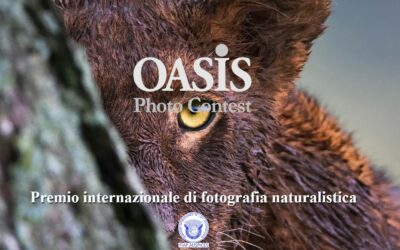 Premio di Fotografia Naturalistica Oasis